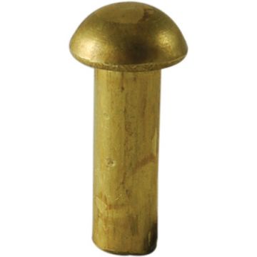 20mm Dome Headed Brass Survey Marker