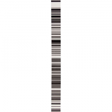 Bar Coded Strip DNA