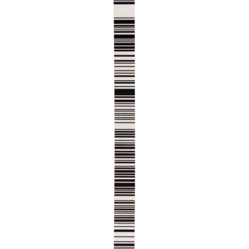 Flexible Strip DNA